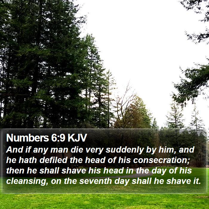 Numbers 6:9 KJV Bible Study