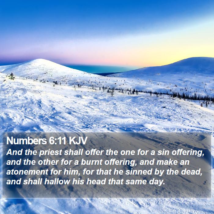 Numbers 6:11 KJV Bible Study