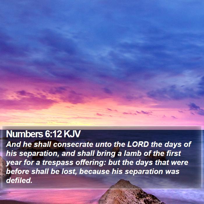 Numbers 6:12 KJV Bible Study