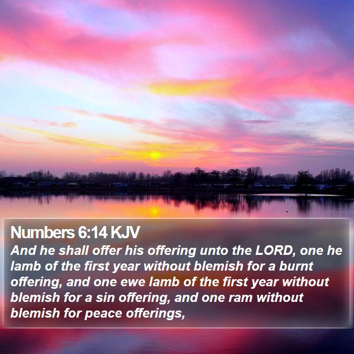 Numbers 6:14 KJV Bible Study