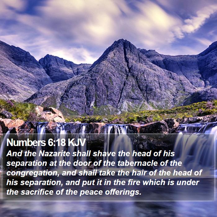 Numbers 6:18 KJV Bible Study