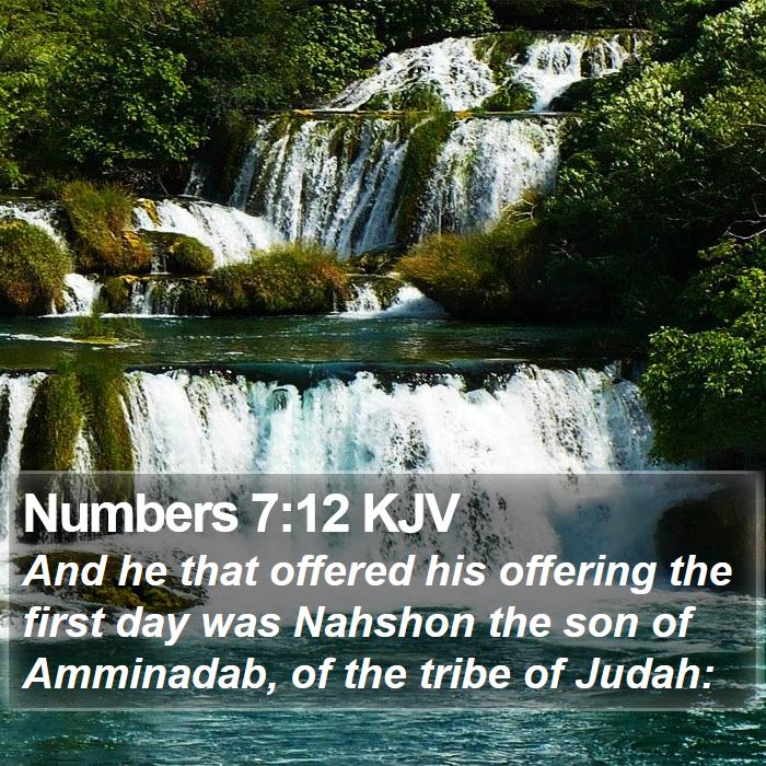 Numbers 7:12 KJV Bible Study