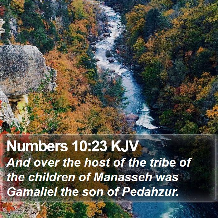 Numbers 10:23 KJV Bible Study