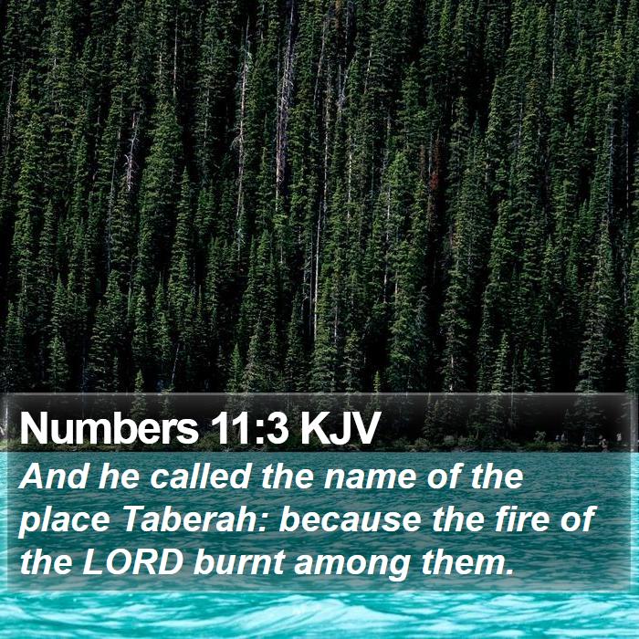 Numbers 11:3 KJV Bible Study