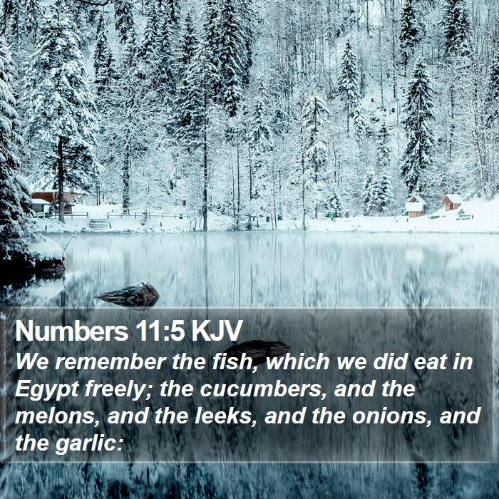 Numbers 11:5 KJV Bible Study