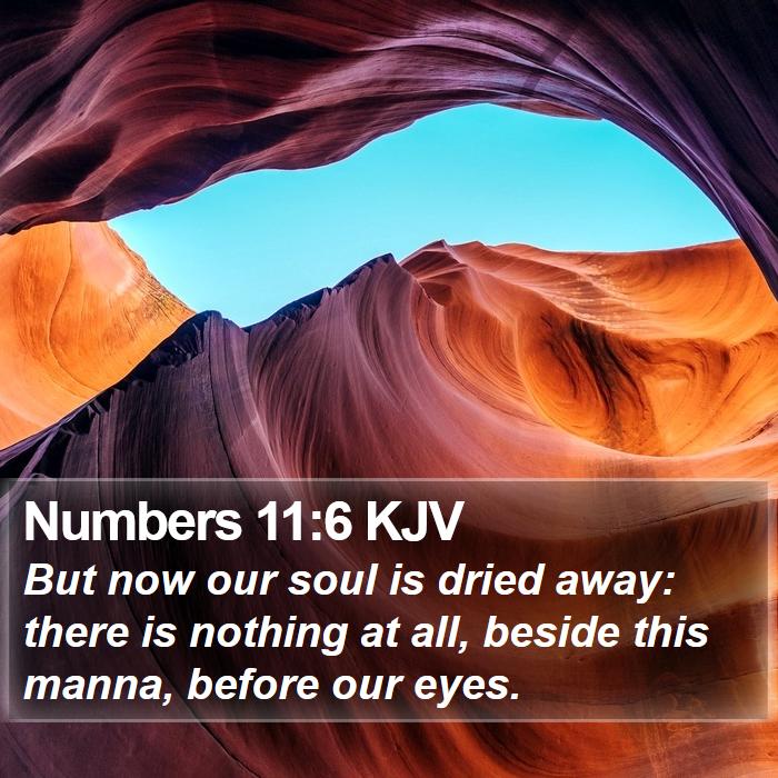 Numbers 11:6 KJV Bible Study