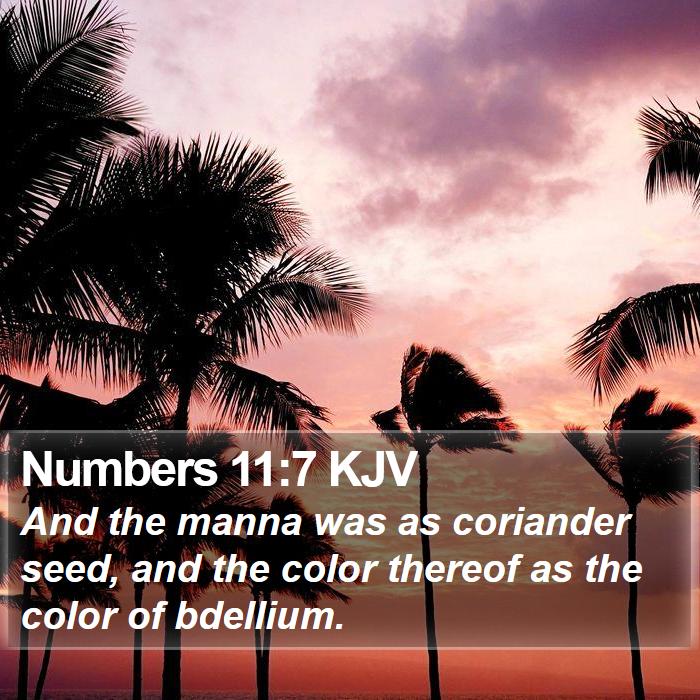 Numbers 11:7 KJV Bible Study