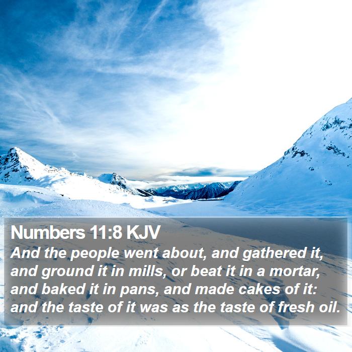 Numbers 11:8 KJV Bible Study