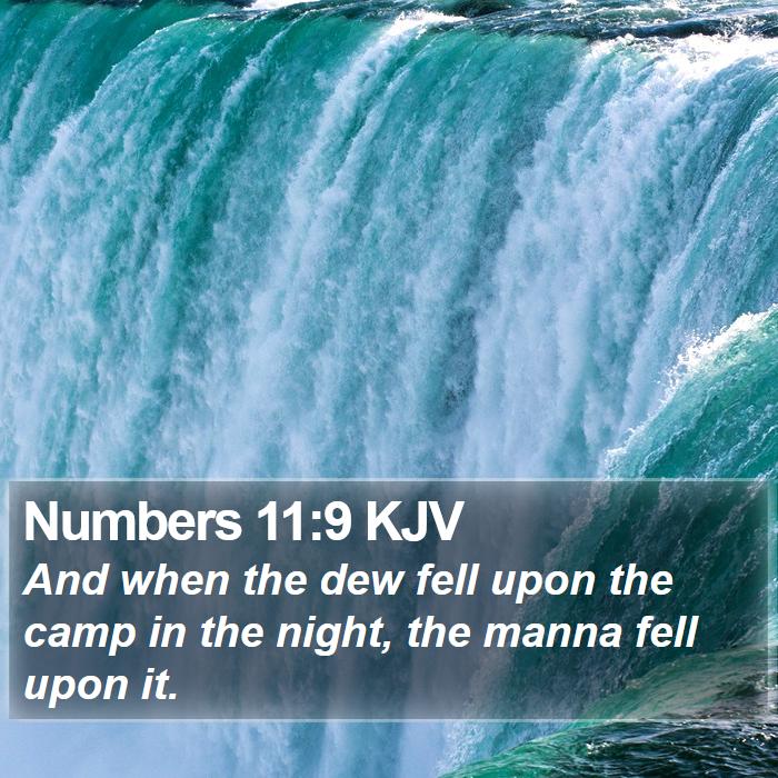 Numbers 11:9 KJV Bible Study