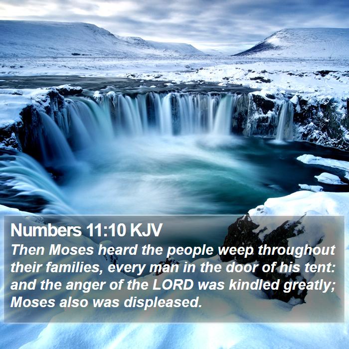 Numbers 11:10 KJV Bible Study