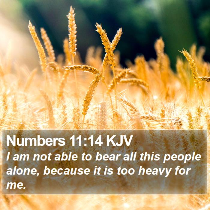 Numbers 11:14 KJV Bible Study