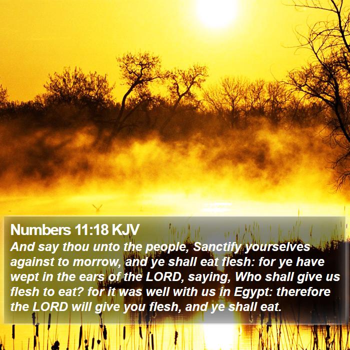 Numbers 11:18 KJV Bible Study