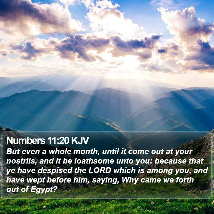 Numbers 11:20 KJV Bible Study