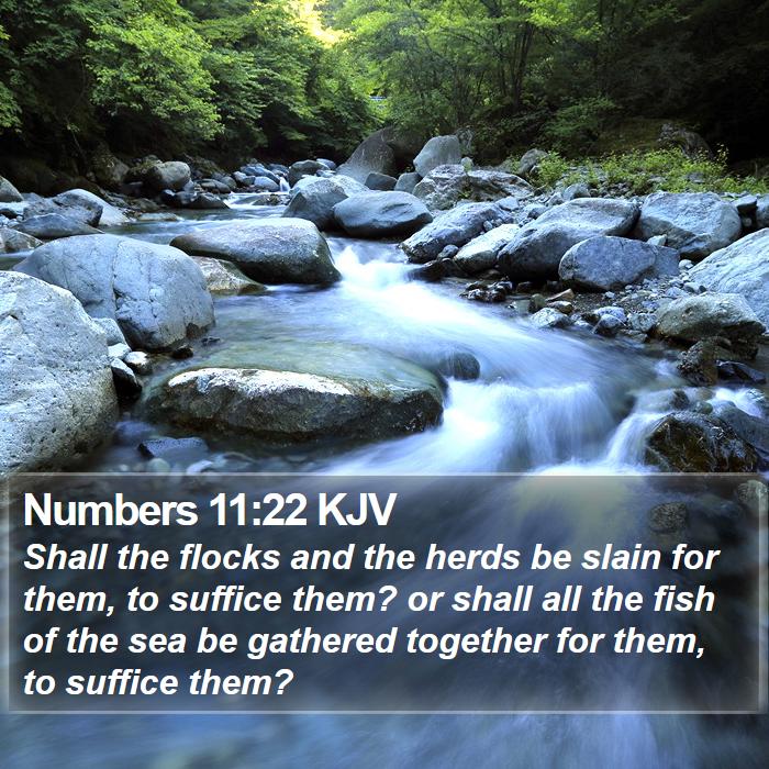 Numbers 11:22 KJV Bible Study