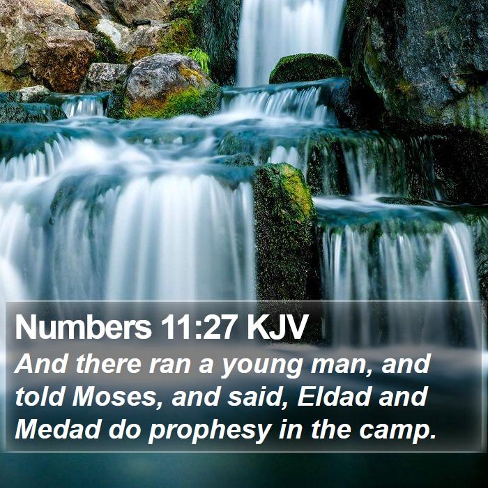 Numbers 11:27 KJV Bible Study