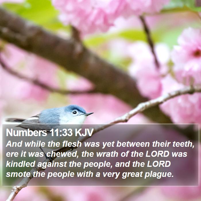 Numbers 11:33 KJV Bible Study