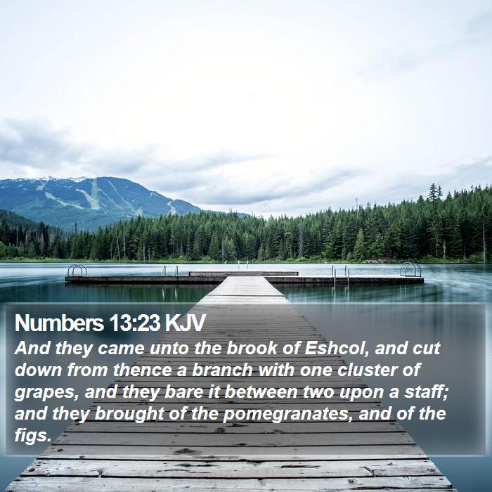 Numbers 13:23 KJV Bible Study