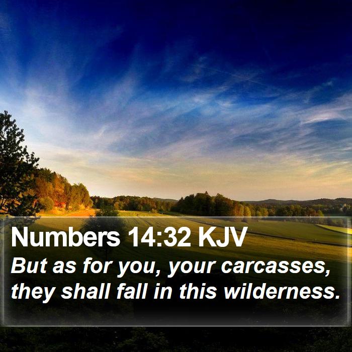 Numbers 14:32 KJV Bible Study