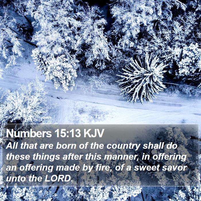 Numbers 15:13 KJV Bible Study