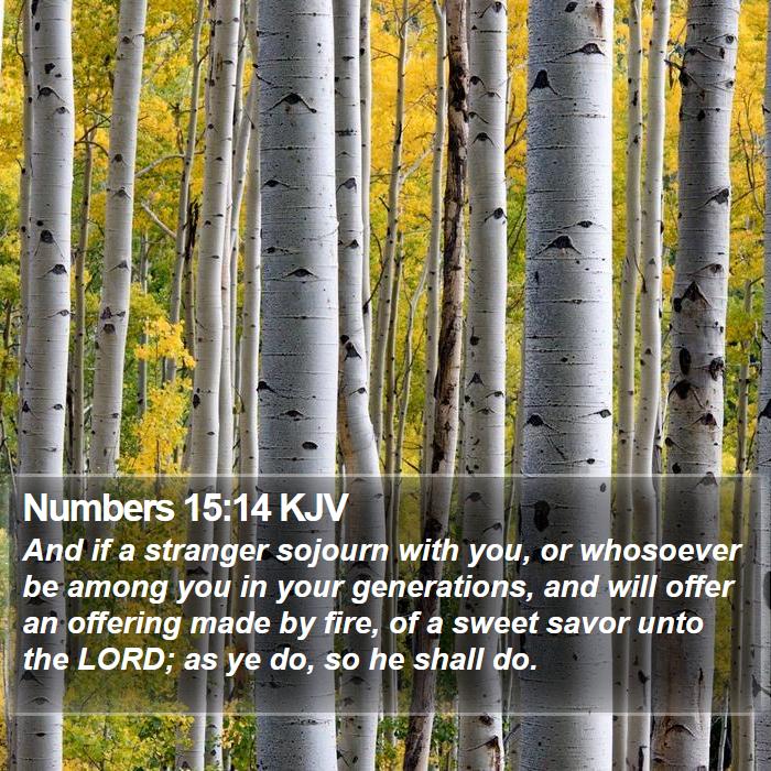 Numbers 15:14 KJV Bible Study