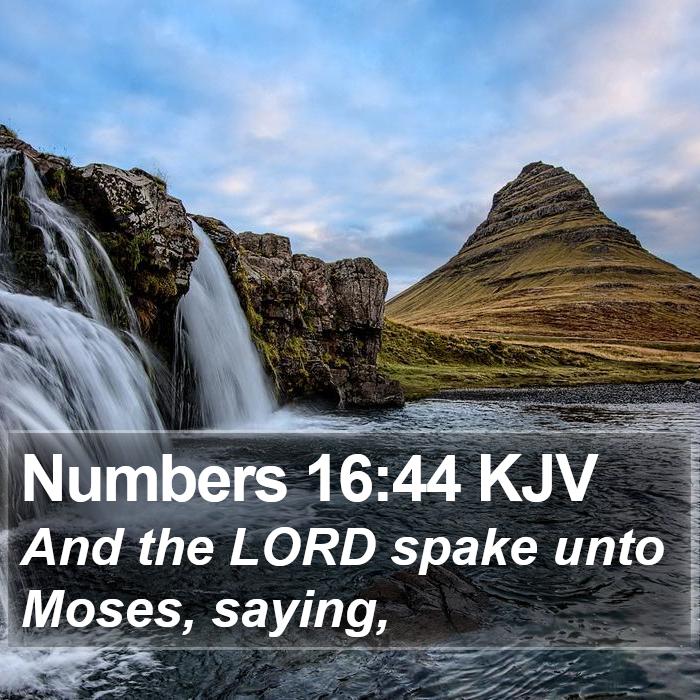 Numbers 16:44 KJV Bible Study