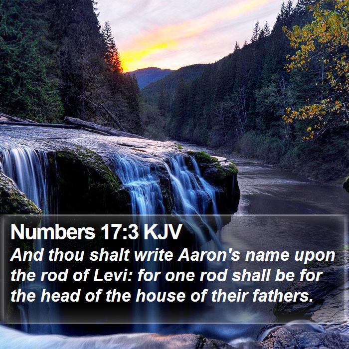 Numbers 17:3 KJV Bible Study