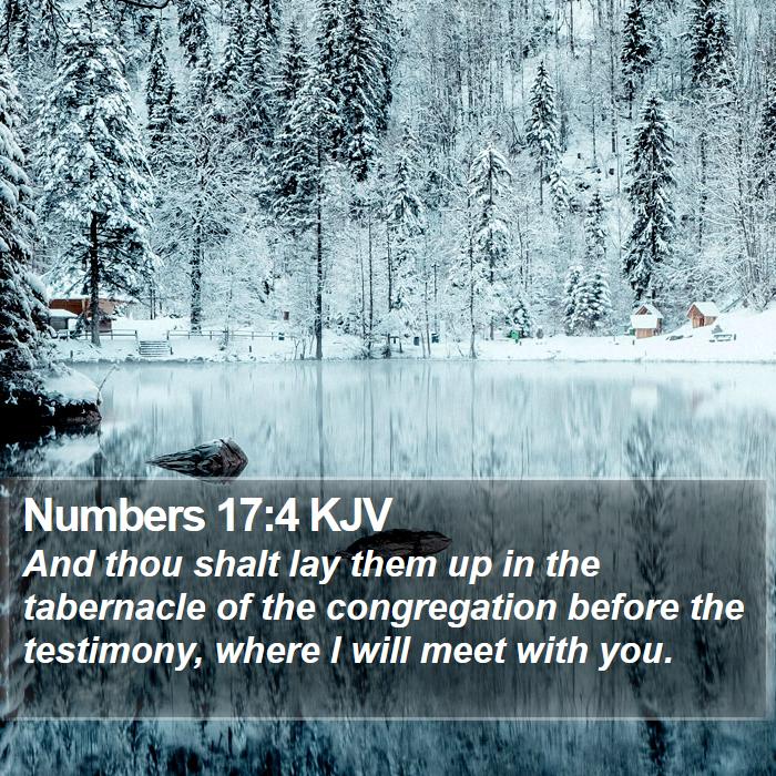 Numbers 17:4 KJV Bible Study