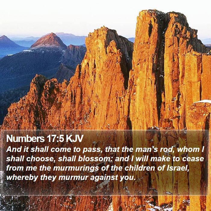 Numbers 17:5 KJV Bible Study