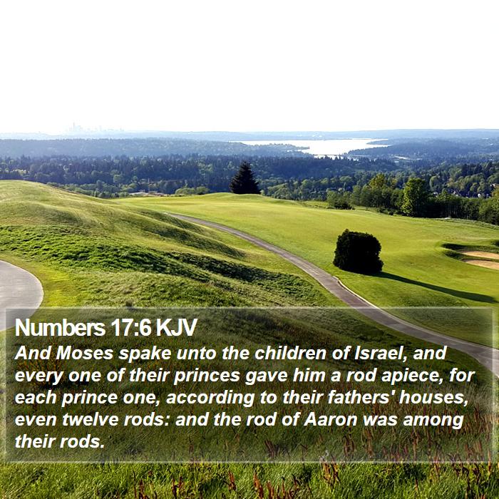 Numbers 17:6 KJV Bible Study