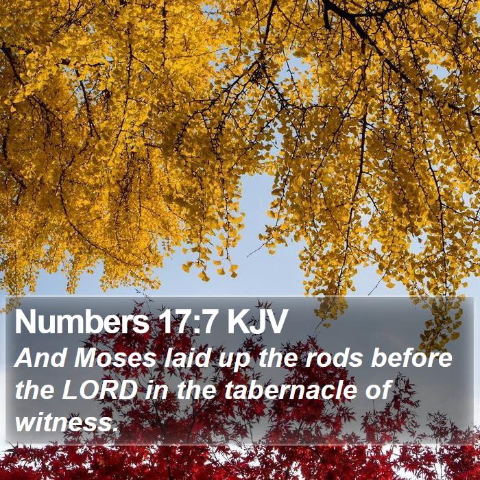 Numbers 17:7 KJV Bible Study