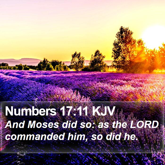 Numbers 17:11 KJV Bible Study