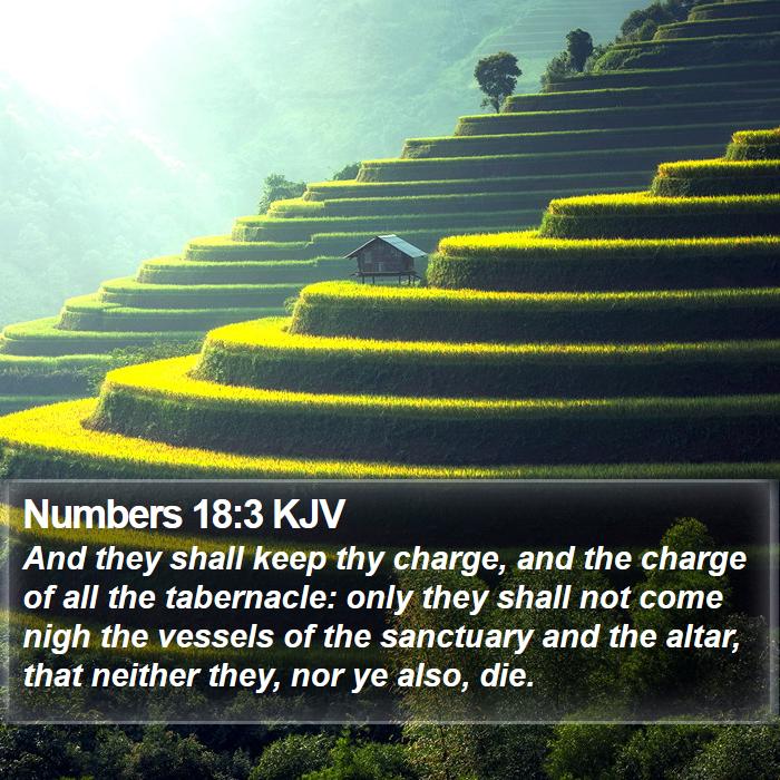 Numbers 18:3 KJV Bible Study