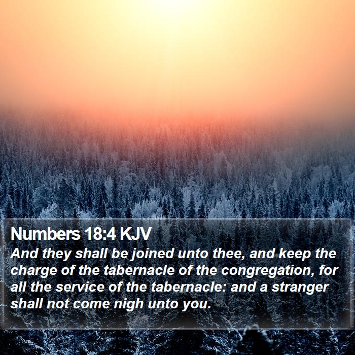 Numbers 18:4 KJV Bible Study