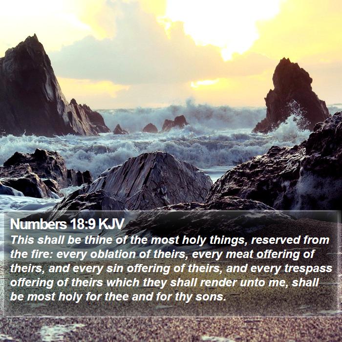 Numbers 18:9 KJV Bible Study