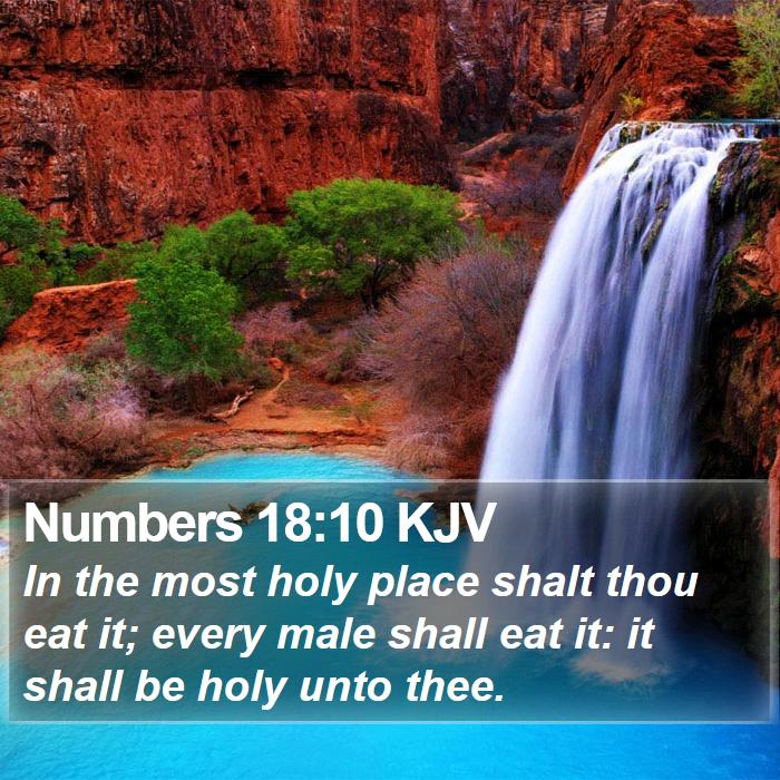 Numbers 18:10 KJV Bible Study