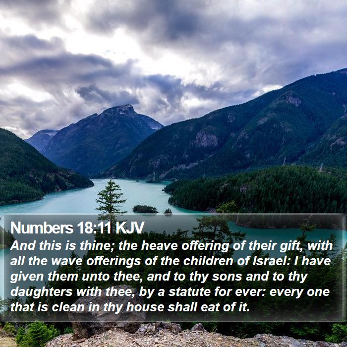 Numbers 18:11 KJV Bible Study