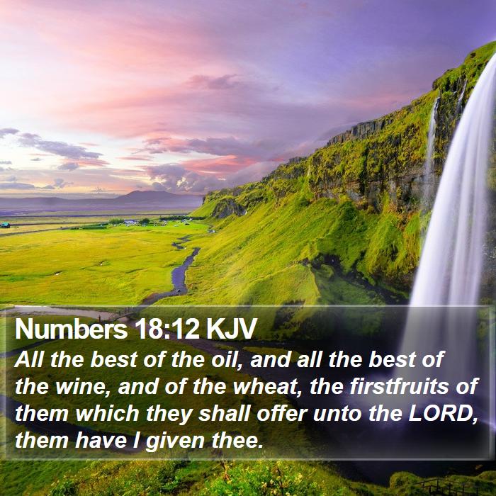 Numbers 18:12 KJV Bible Study