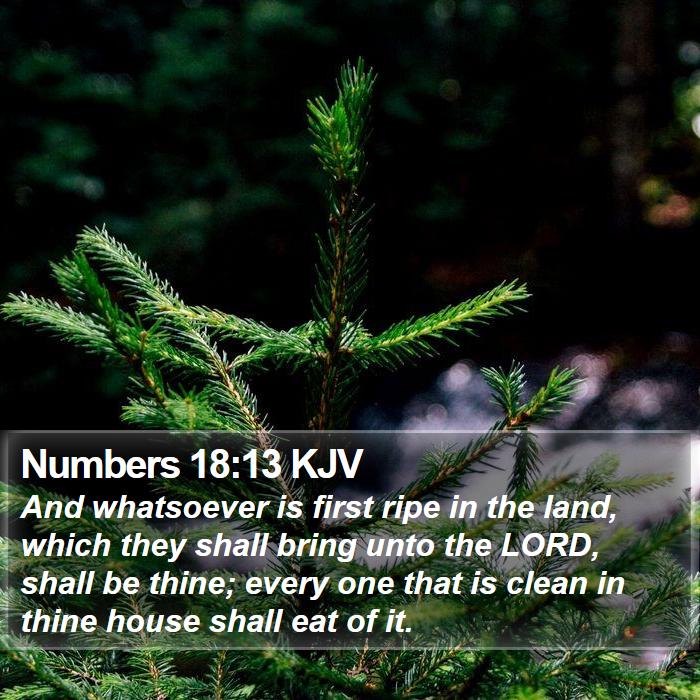 Numbers 18:13 KJV Bible Study