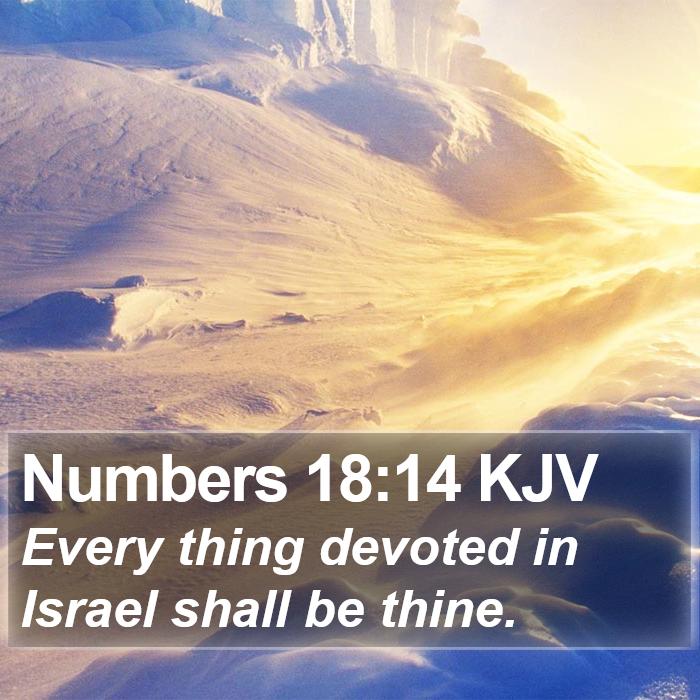 Numbers 18:14 KJV Bible Study