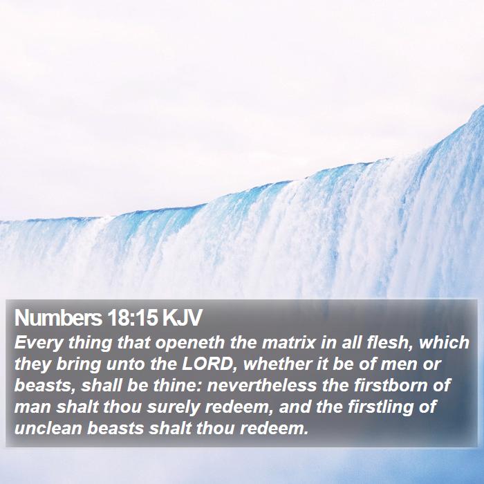 Numbers 18:15 KJV Bible Study