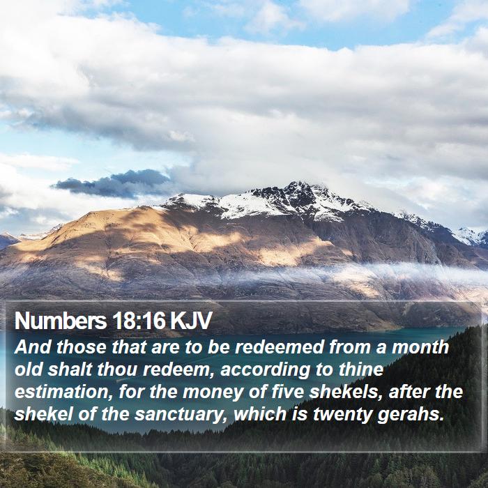 Numbers 18:16 KJV Bible Study