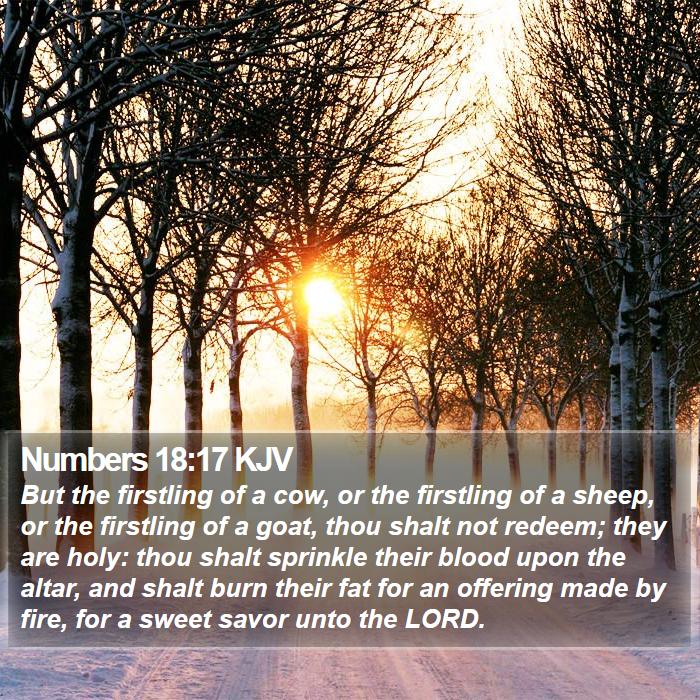 Numbers 18:17 KJV Bible Study