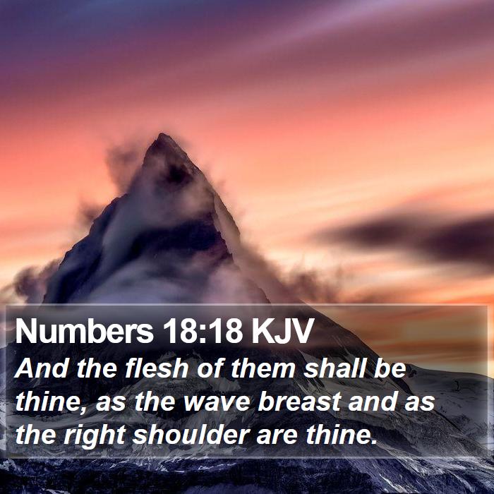 Numbers 18:18 KJV Bible Study