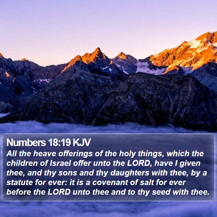 Numbers 18:19 KJV Bible Study