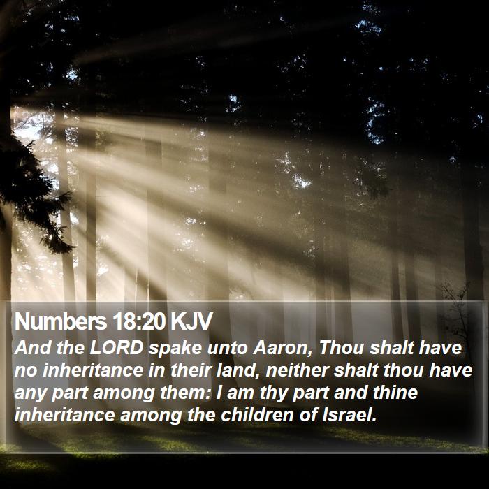 Numbers 18:20 KJV Bible Study