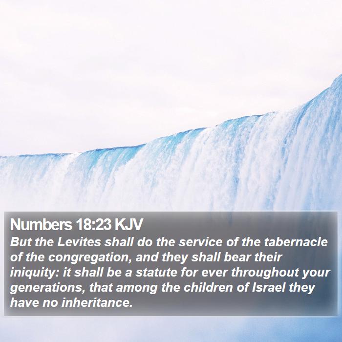 Numbers 18:23 KJV Bible Study