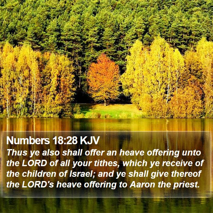 Numbers 18:28 KJV Bible Study