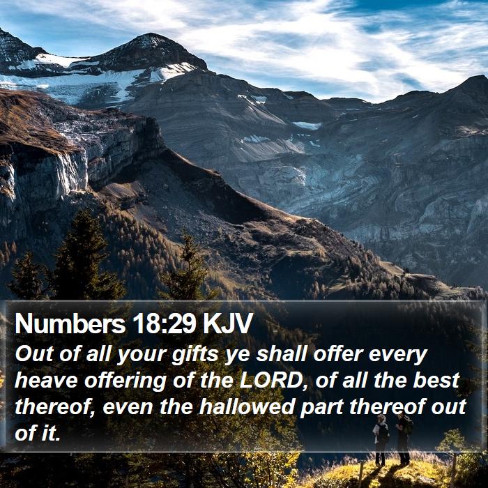 Numbers 18:29 KJV Bible Study