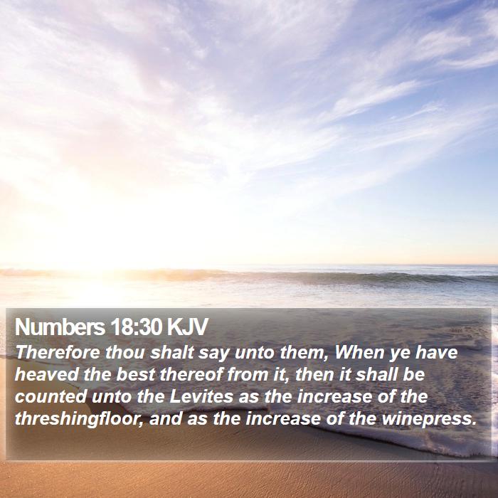 Numbers 18:30 KJV Bible Study