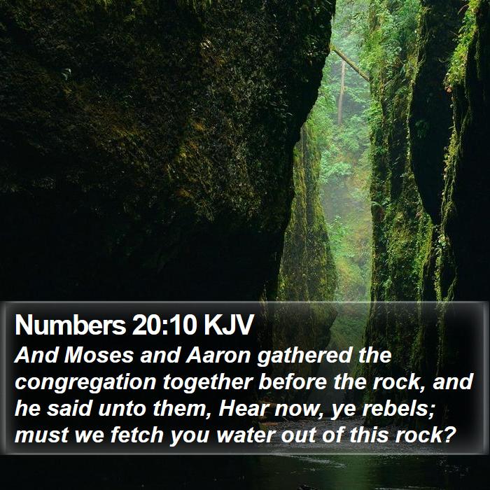 Numbers 20:10 KJV Bible Study